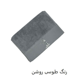 حوله دست و صورت نارین ساپ تبریز مدل (KULE) رنگ طوسی روشن سایز 30x55 سانتی متر